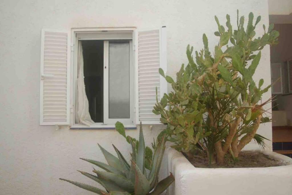 Apartamento A 2 Minutos Andando A La Playa. La Isleta del Moro Eksteriør bilde